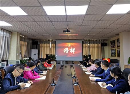 向榜樣看齊，做合格黨員