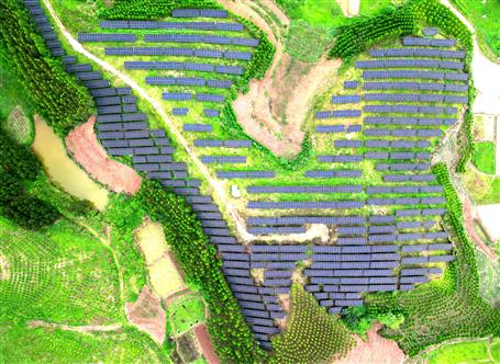 【錨定目標(biāo) 奮力沖刺】冶建基礎(chǔ)分公司寧明縣光伏項目有序推進